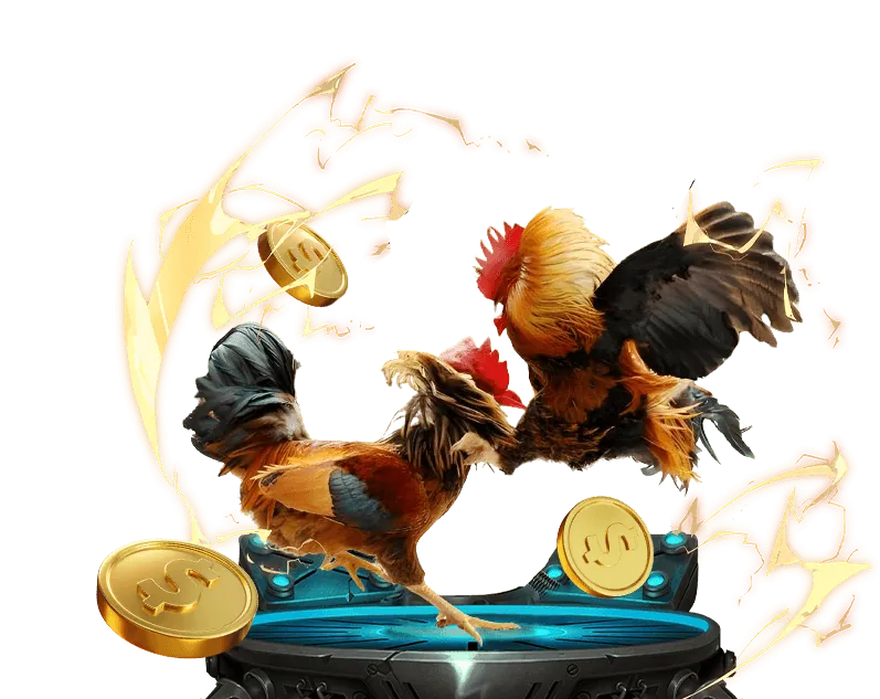 Lịch sử phát triển vững chắc của MAY88